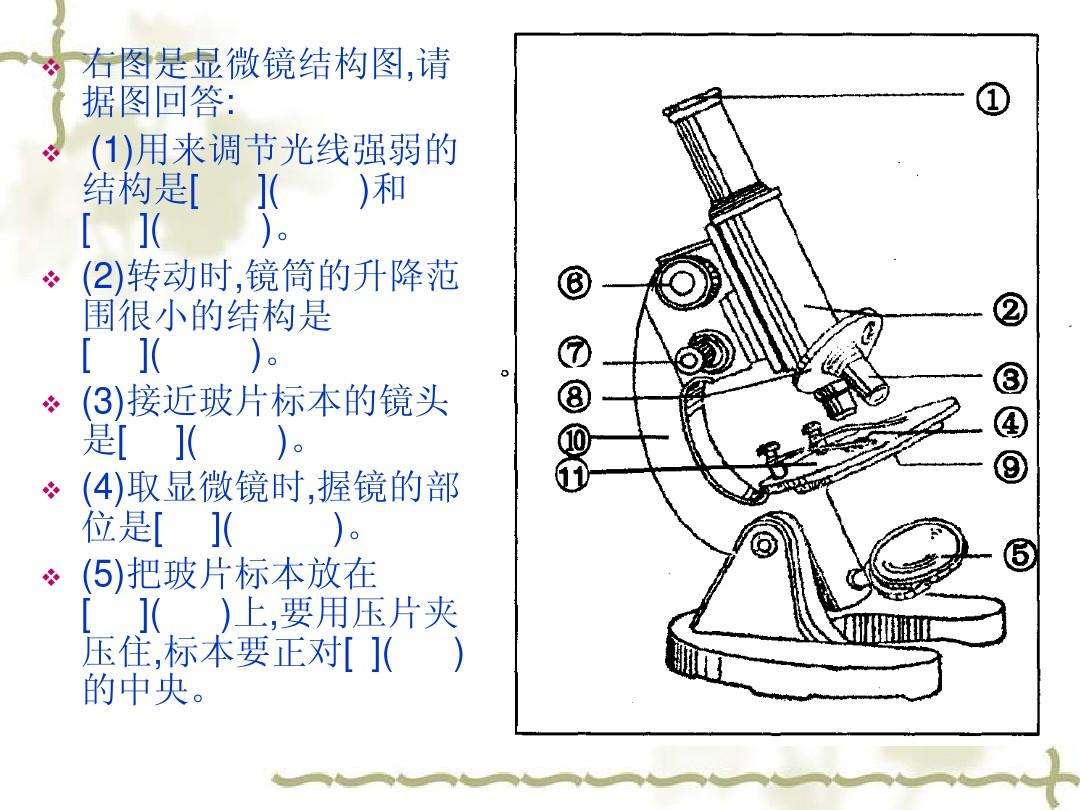 显微镜结构图(显微镜结构图怎么画)