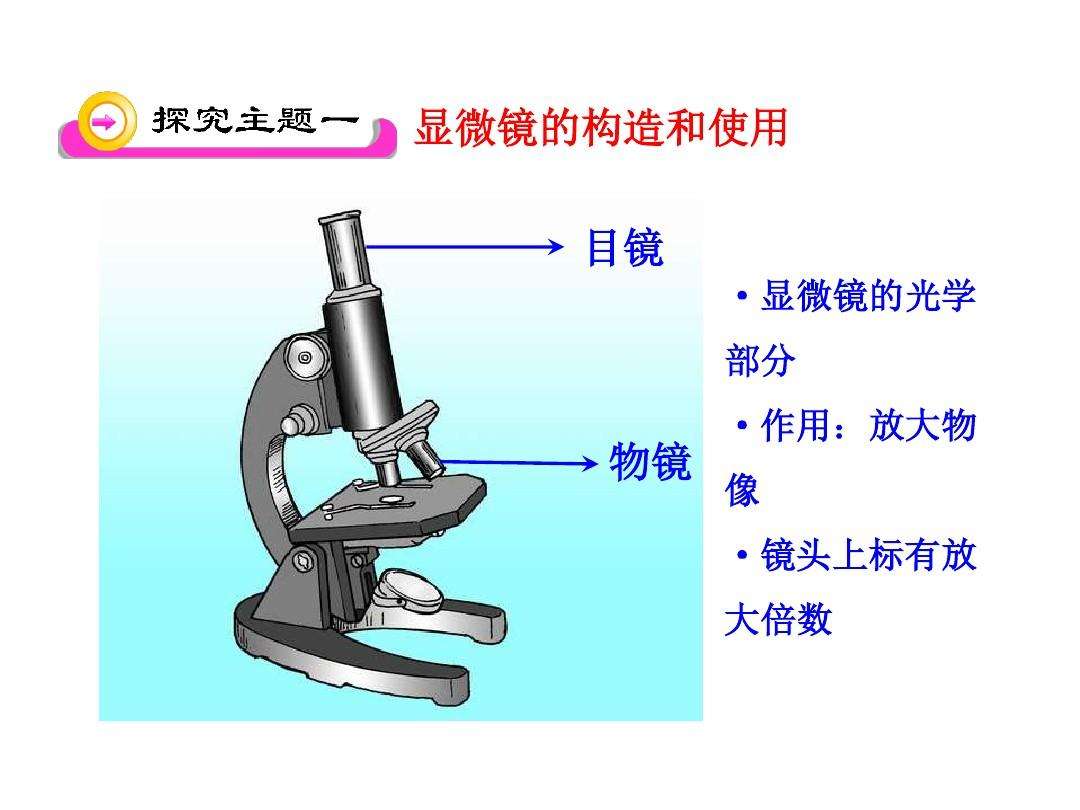 显微镜结构图(显微镜结构图怎么画)