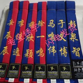 空手道段位颜色(空手道黑带能打多少人)