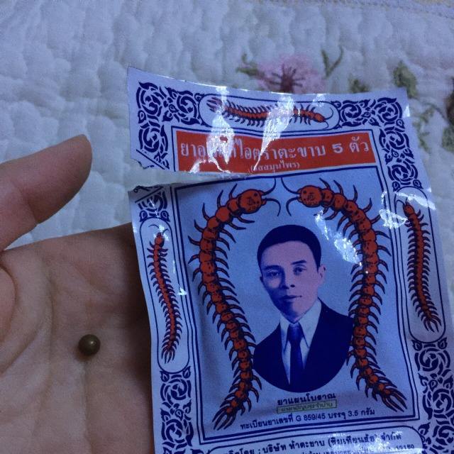 包含泰国蜈蚣丸哪些人不能吃的词条