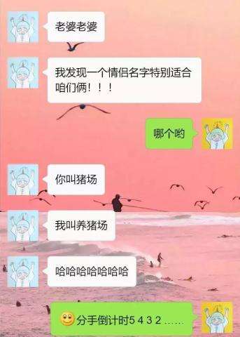 沙雕情侣网名(超等搞笑的情侣昵称)