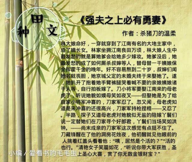 耕田文结束保举(穿越之弃妇的田园生活)