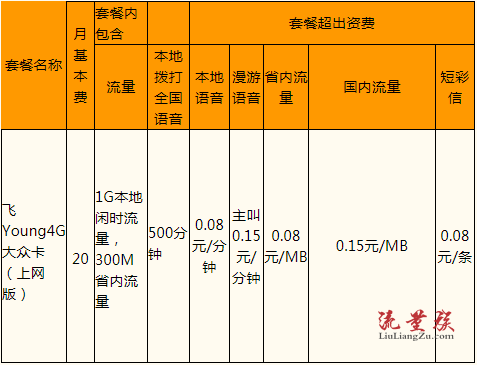 包罗电信收集套餐资费介绍表2021的词条