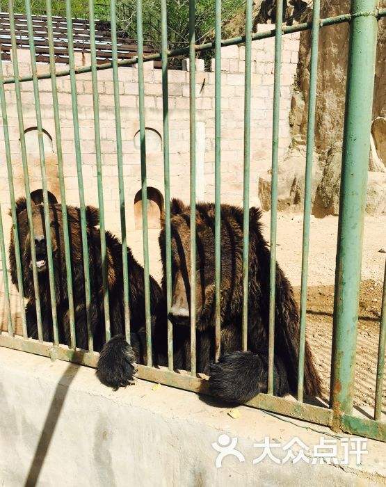 包罗八达岭动物园最末判决原文的词条 包罗八达岭动物园最末判决原文的词条