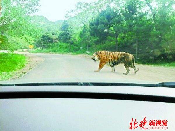 包罗八达岭动物园最末判决原文的词条 包罗八达岭动物园最末判决原文的词条