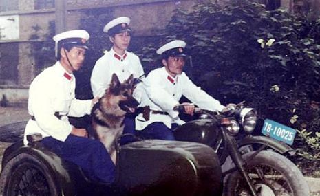 凌国梁(凌国梁电视剧叫什么) 凌国梁(凌国梁电视剧叫什么)