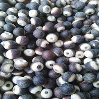 芡实多少钱一斤(茯苓的功效与作用)