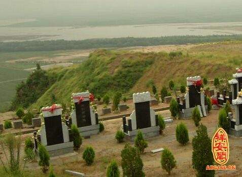 坟地栽树正确方位(坟墓哪个方位不能栽树)