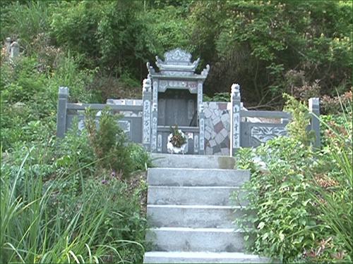 坟地栽树正确方位(坟墓哪个方位不能栽树)