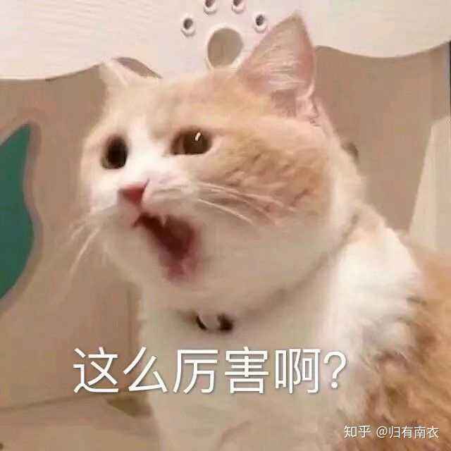 沙雕的情侣id的简单介绍