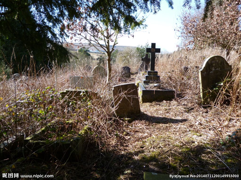 坟地栽树正确方位(坟地栽树最佳位置图) 坟地栽树正确方位(坟地栽树最佳位置图)