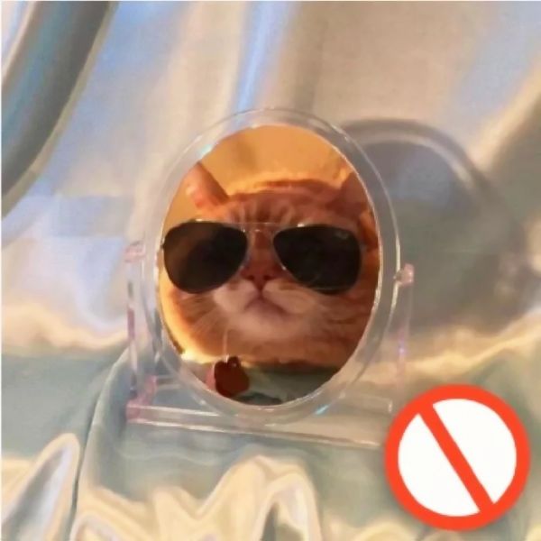 沙雕情侣名(沙雕情侣头像智障) 沙雕情侣名(沙雕情侣头像智障)