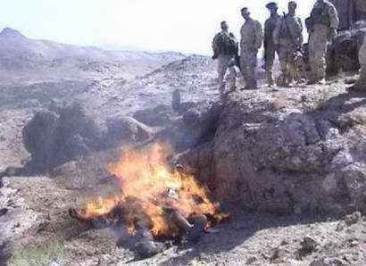 莫菁门事务(广西柳州莫菁1240图片) 莫菁门事务(广西柳州莫菁1240图片)