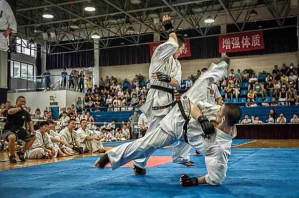 白手道段位(白手道黑带有几段)