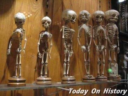 费城马特博物馆(马特博物馆气球人内脏)