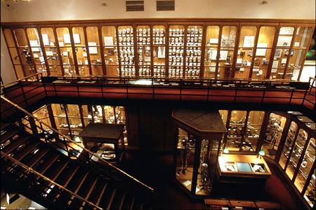 费城马特博物馆(马特博物馆气球人内脏)