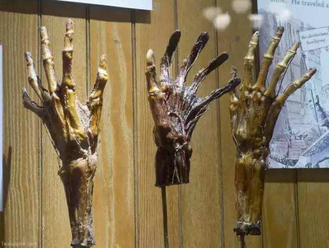 费城马特博物馆(马特博物馆所有展品)