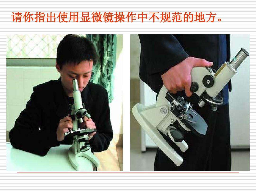 显微镜操做步调(显微镜操做步调口诀)