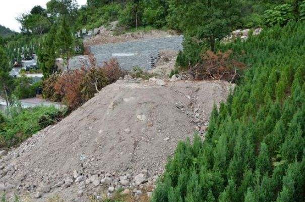 坟前栽树准确位置图片的简单介绍 坟前栽树准确位置图片的简单介绍