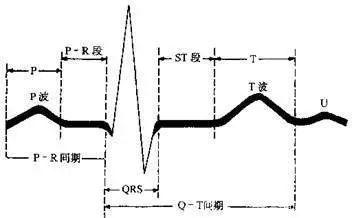 若何看心电图(若何看心电图视频教程) 若何看心电图(若何看心电图视频教程)