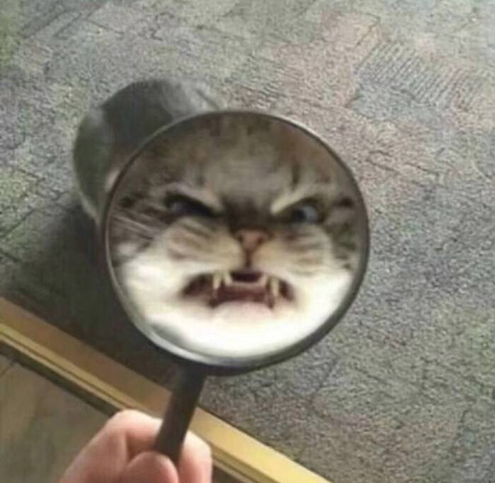 沙雕情侣名字(沙雕网名情侣公用) 沙雕情侣名字(沙雕网名情侣公用)