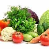 包罗一年四时生果天然成熟时间表的词条